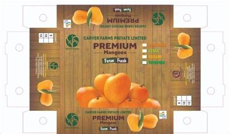 Green Devgad Premium Alphonso Hapus Mango Carton At Dozen In Nashik