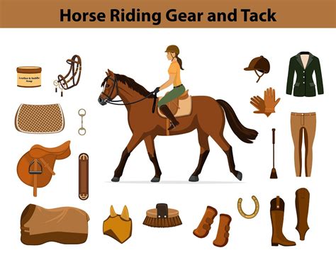 Horse Riding Gear for Beginners Guide - Fauna Care