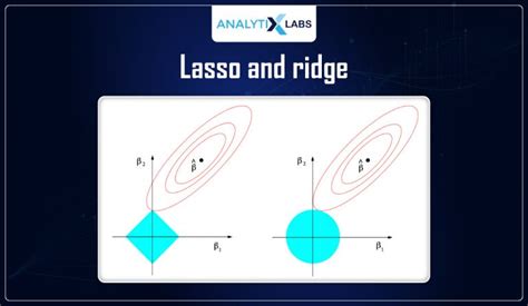 Guide to Lasso and Ridge Regression Techniques with Use Cases