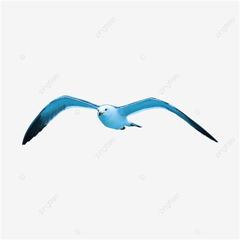 Commercially Available PNG Transparent, Flying Haiou Commercially ...