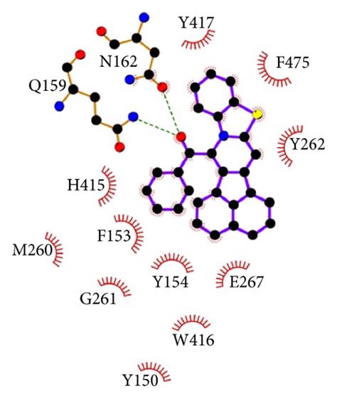 Predicted Binding Mode Of Dcc11 And Dcc66 With Carm1 From Docking Download Scientific Diagram