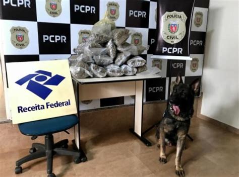 Ação da Polícia Civil e Receita Federal no Paraná e Bahia prende