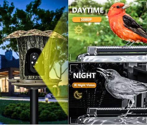 Outdoor Waterproof Solar Bird Feeder Smart AI Bird Recognition ...