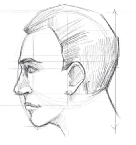 Simple Side View Face Drawing Male - The more you practice this simple ...