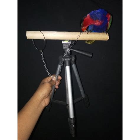 jual tripot tangkringan burung shopee indonesia