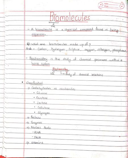 Biomolecules Class Chemistry Handwritten Notes Shop Handwritten