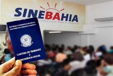 Sinebahia Confira As Oportunidades Dispon Veis Para Segunda Feira