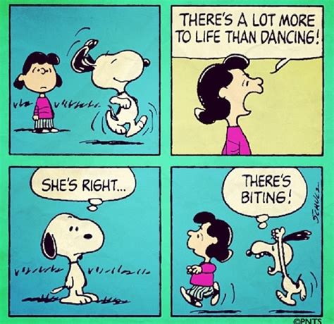 Pin By Sophia Love On Peanuts Snoopy Comics Snoopy Cartoon Snoopy Funny