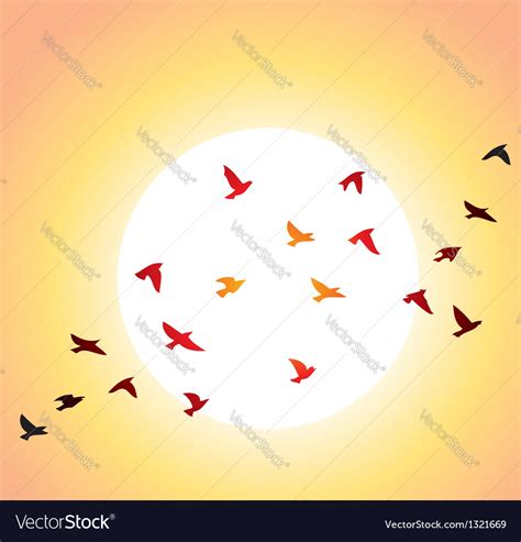 Birds And Sun Royalty Free Vector Image Vectorstock