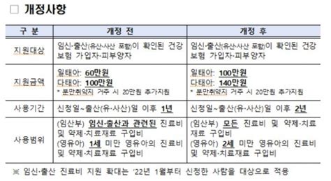 내년부터 한자녀 임신·출산 지원금 100만원···쌍둥이면 140만원 뉴스웨이