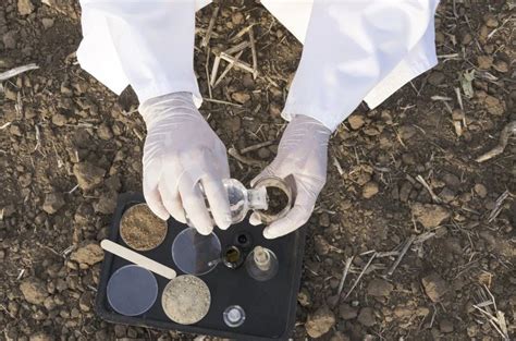 Soil Analysis Investigation Services In Gurugram ID 2852759497112