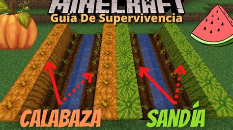 C Mo Cultivar Sand As En Minecraft Una Gu A Paso A Paso Para Tener Tu