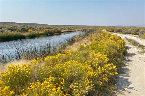 Bog Hot Springs Hot Springs In Nevada HOT SPRINGERS