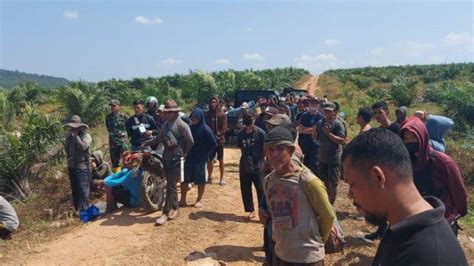 Patroli Pengamanan HGU PT GSBL Dan Areal IUP PT Timah Dari Tambang