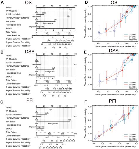 Dna Methylation Regulated Snx Overexpression Correlates With Poor