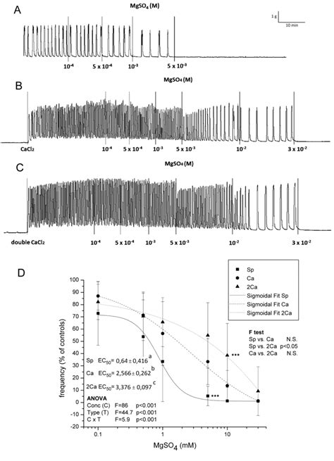 The Effect Of Mgso On Uterine Contractile Activity Under Different