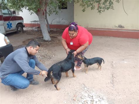 Salud Sonora On Twitter Se Llev A Cabo Jornada De Salud En El