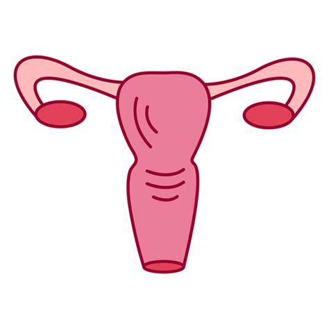 Gráficos De Ovaries Para Descargar