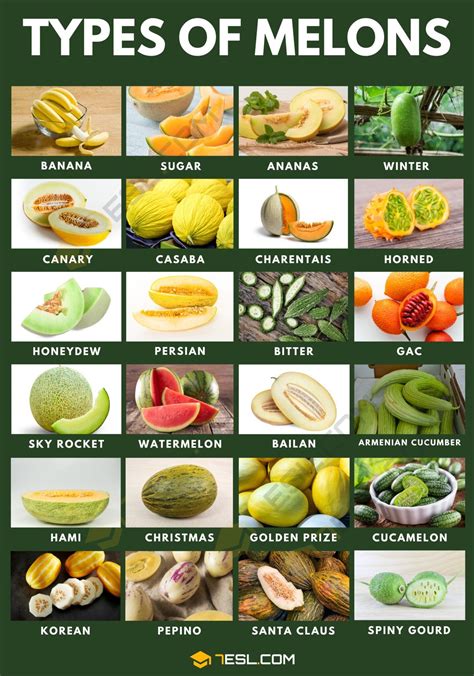 55 Different Types of Melons with "Juicy" Pictures • 7ESL | Food, Food ...