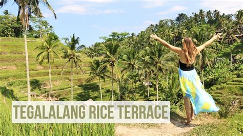 Tegalalang Rice Terrace