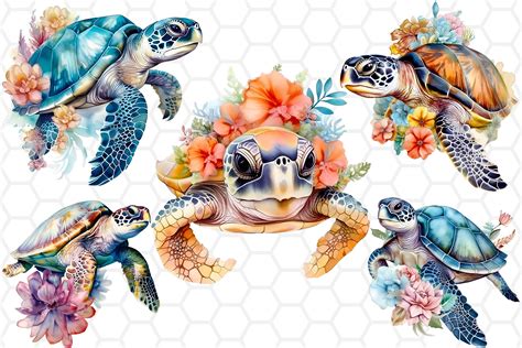 Watercolor Floral Sea Turtle Clipart Png Graphic By Dreanartdesign