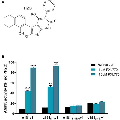 Pxl Activates Ampk A Chemical Structure Of Pxl Monohydrate