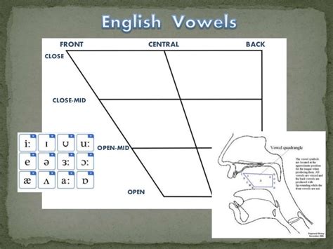 Vowels Diphthongs And Triphthongs