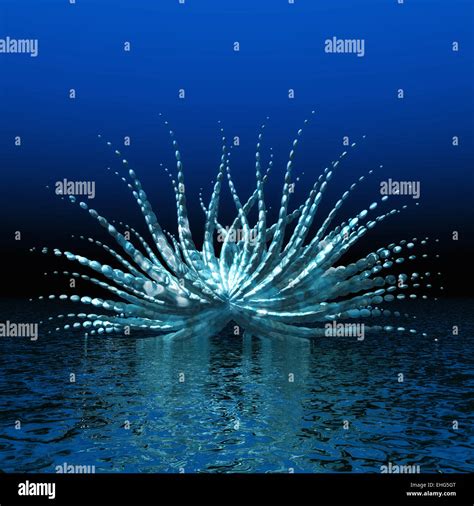 Fractal Objects Hi Res Stock Photography And Images Alamy