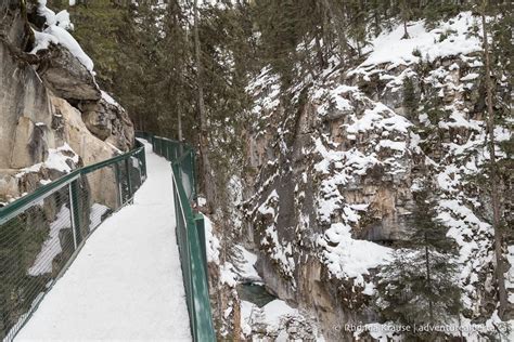 Johnston Canyon Winter Hike Hiking Johnston Canyon In Winter