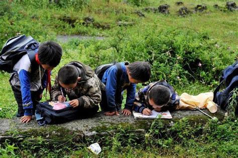 能考上大学的农村孩子都是哪一种人乡村女博士含泪告白