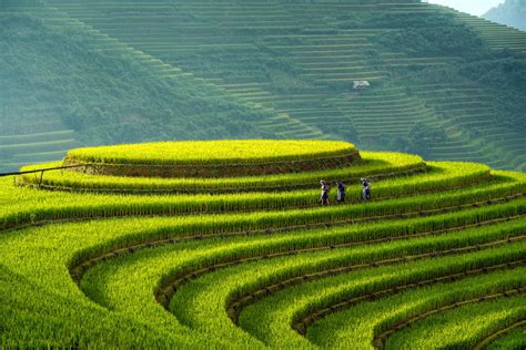 Impressive Mu Cang Chai Trekking Tour 3 Days 2 Nights