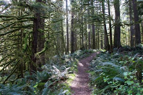 The 5 Best Hiking Trails in Chilliwack | Vancouver Trails