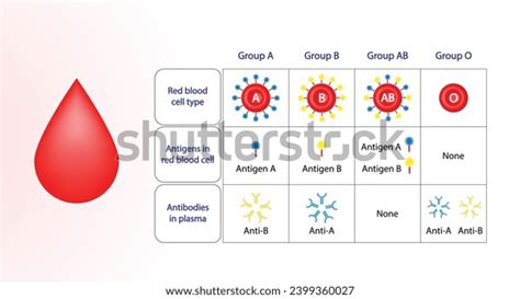 Blood Donation Background Abo Blood Group Stock Vector (Royalty Free ...