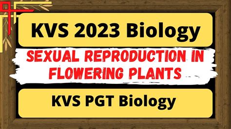 Kvs Pgt 2023 Sexual Reproduction In Flowering Plants Kvs Pgt