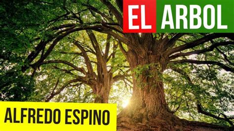 El Arbol Alfredo Espino Valentina Zoe TV