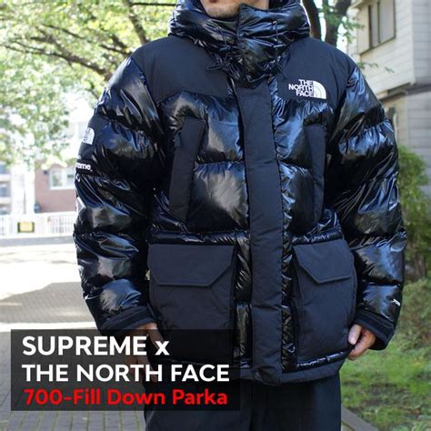 Supreme X The North Face Fill Down Parka Black