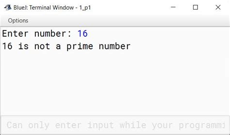 Prime Number Check Program In Java Knowledgeboat