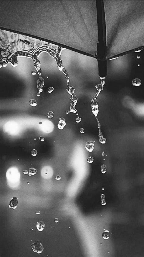 Rain Black And White Wallpapers Top Free Rain Black And White