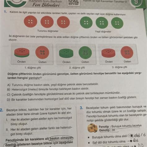 ÇOK ACİL ÇOK YÜKSEK PUAN KOYDUM BAKIN LÜTFEN 8 SINIF FEN DNA VE