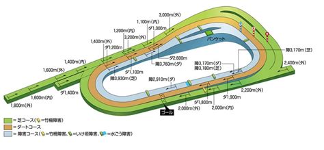 京都競馬場のコース紹介と特徴 西風馬券道 競馬で生きる道