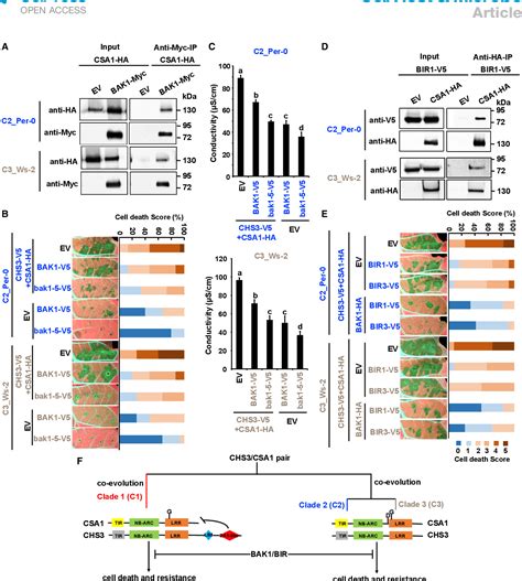 Pdf Allelic Variation In The Arabidopsis Tnl Chs Csa Immune