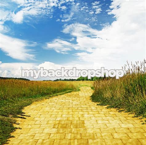 7ft X 7ft Yellow Brick Road Backdrop Oz Photography Backdrop - Etsy