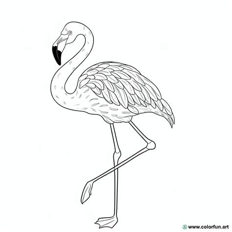 14 Coloriages De Flamants Roses Coloriages Gratuits Pour Enfants