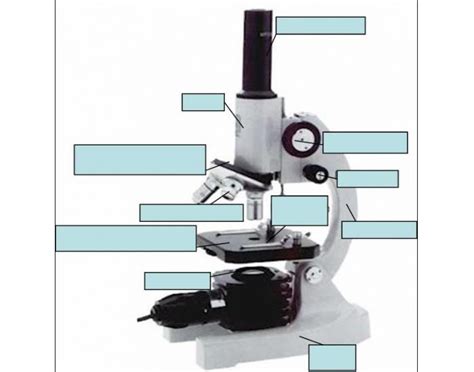 Lab Practical Diagram Quizlet