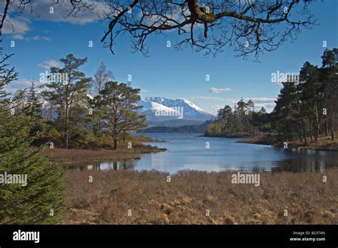 Looking North Across Loch Lochy To Nevis Range Mountains Ben Nevis Fort