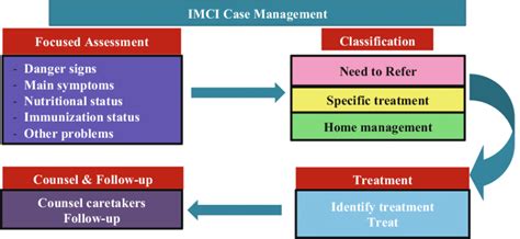 Integrated Case Management Elements Source Adapted From Ashly