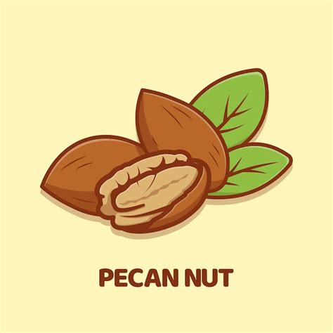 Premium Vector Pecan Nut Cartoon Vector Icon Illustration Isolated