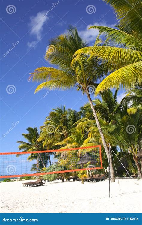 Tropical Beach With Volleyball Net Under Palm Trees Stock Image Image