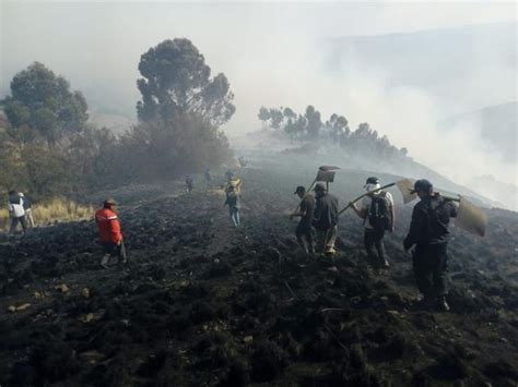 Incendio Forestal En Cusco Siguen Los Trabajos Para Sofocar El Siniestro En Picol Peru El