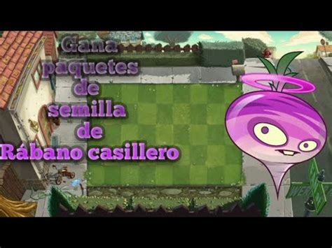 Gana Paquetes De Semilla De Rabano Casillero Con Un Nivel Modificado De